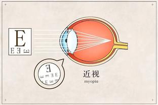 半岛电子官网首页网站下载安装截图2